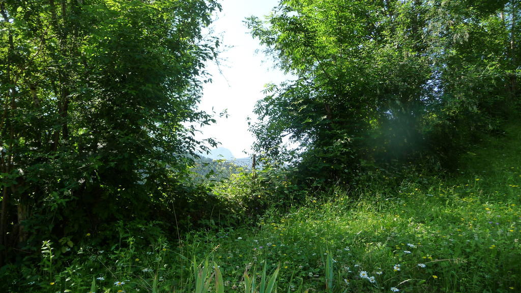 La Chouette A L'Heure Du Pinson Bed and Breakfast Saint-Pierre-d'Entremont  Exterior foto